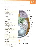 Sobotta Atlas of Human Anatomy  Head,Neck,Upper Limb Volume1 2006, page 272